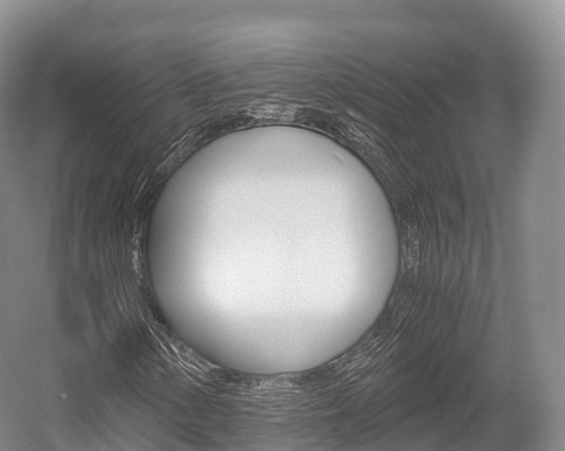 X0000055981154200508190722