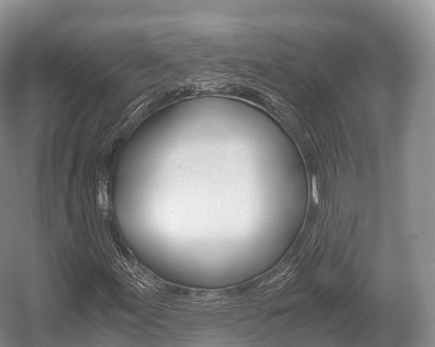 X0000055981155200508190722