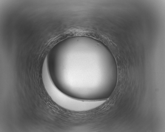 X0000055981157200508190722