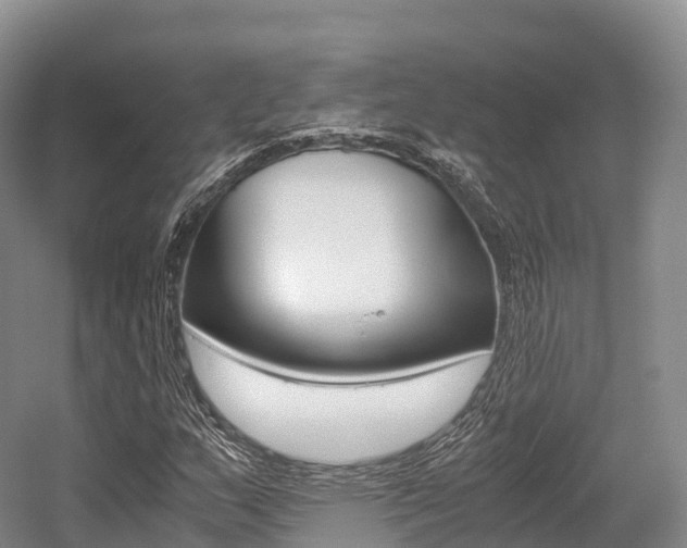 X0000055981159200508190722