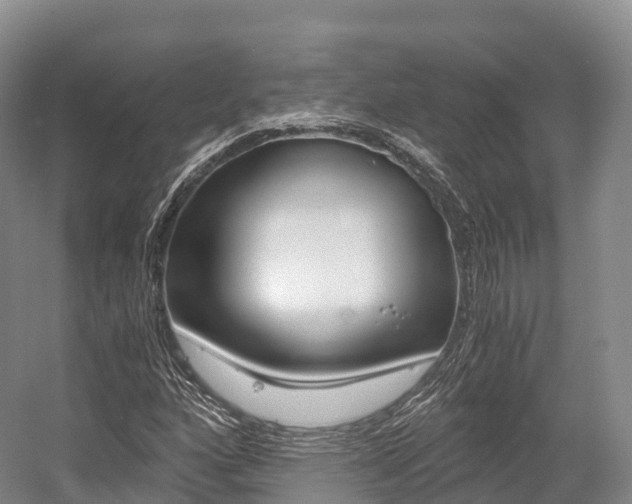 X0000055981160200508190722