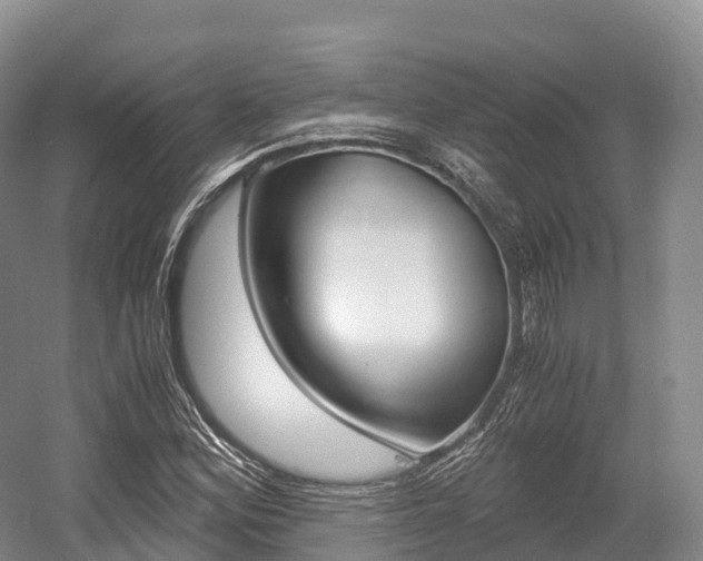 X0000055981164200508190722