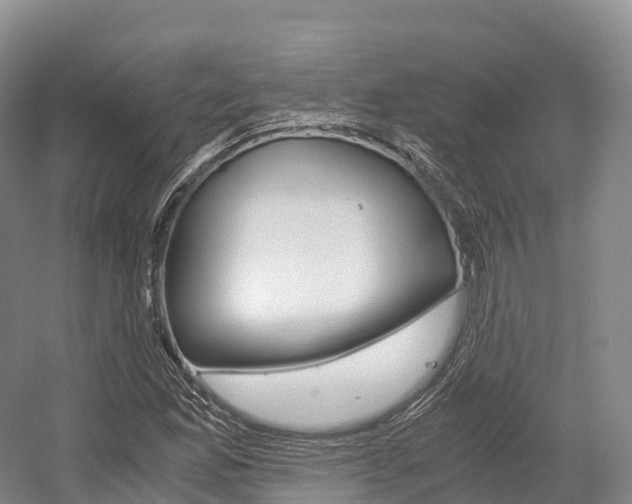 X0000055981165200508190722