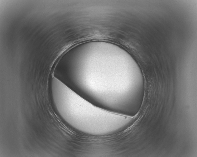 X0000055981170200508190721