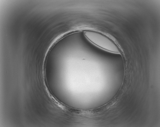 X0000055981191200508190721