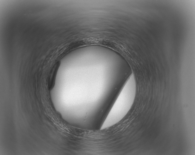 X0000055981201200508190720
