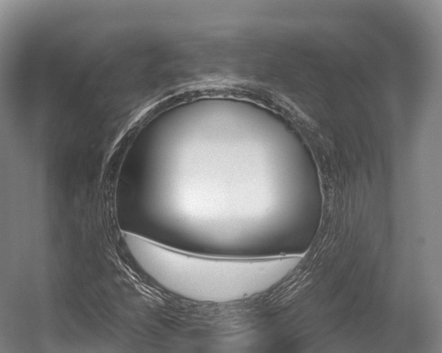 X0000055981208200508190720