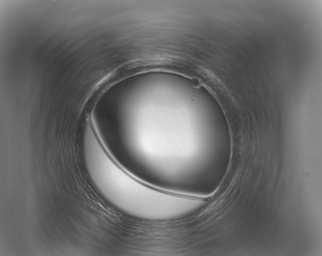 X0000055981210200508190720