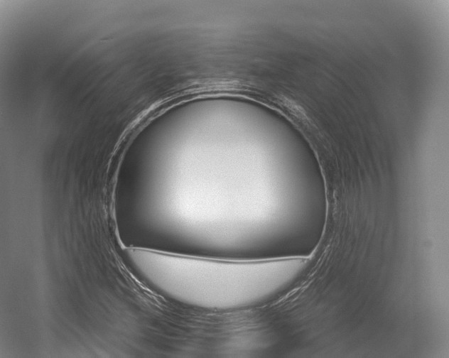 X0000055981212200508190720