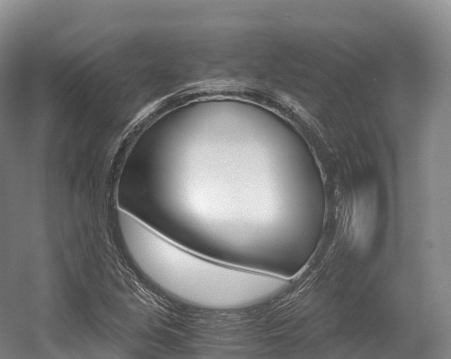 X0000055981213200508190720