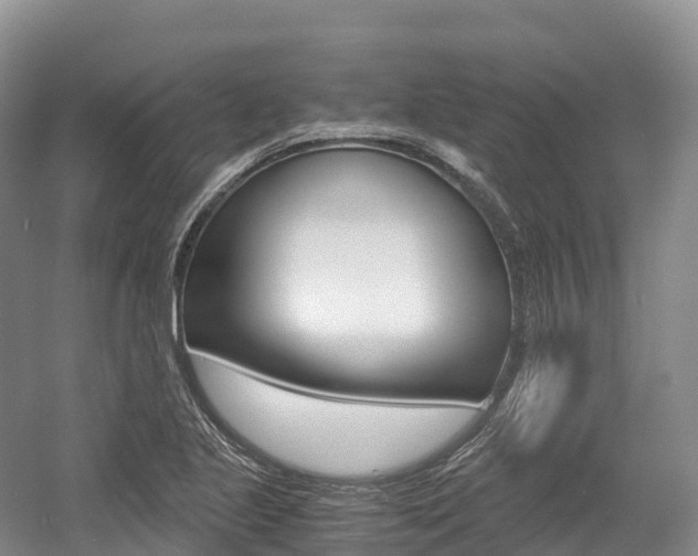 X0000055981221200508190720