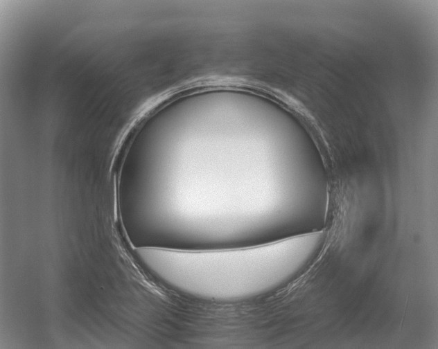 X0000055981223200508190721