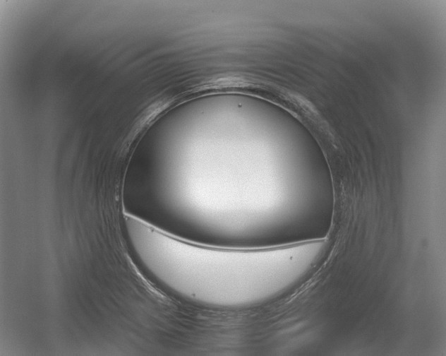 X0000055981225200508190721
