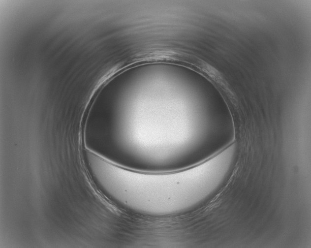 X0000055981234200508190721