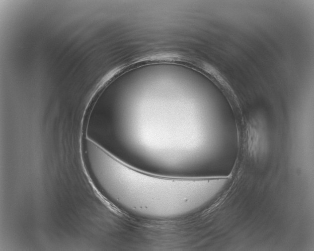 X0000055981237200508190721