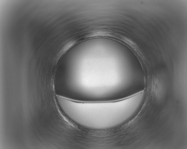 X0000055981241200508190721