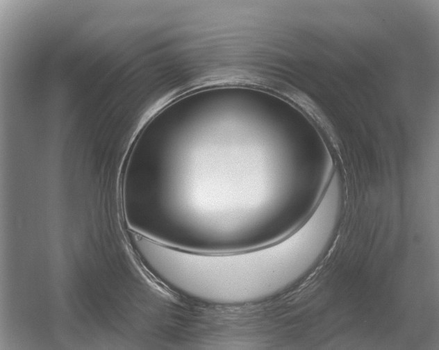 X0000055981242200508190721
