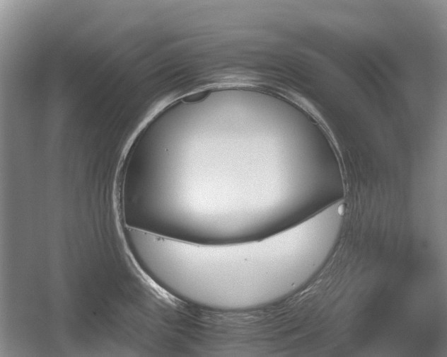 X0000055981243200508190721