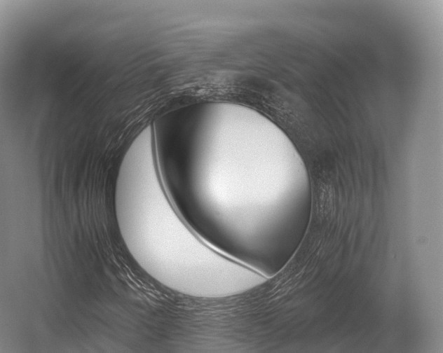 X0000055981250200508190720