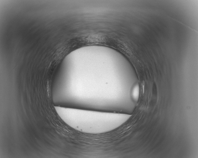 X0000055981251200508190720