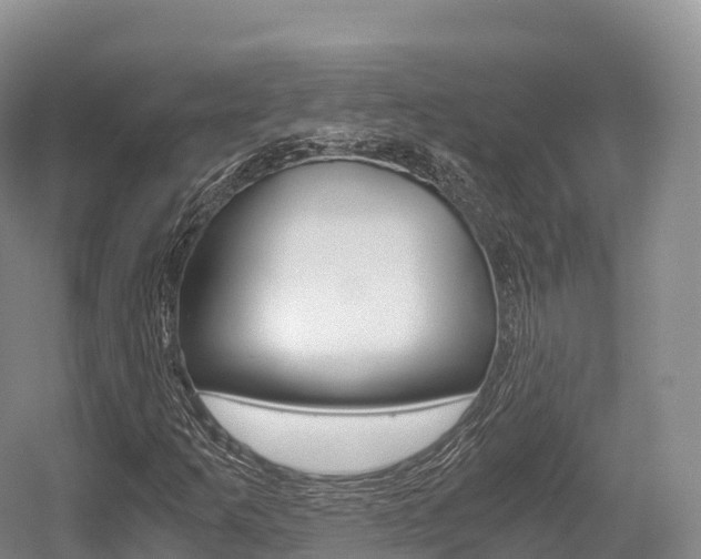 X0000055981253200508190720