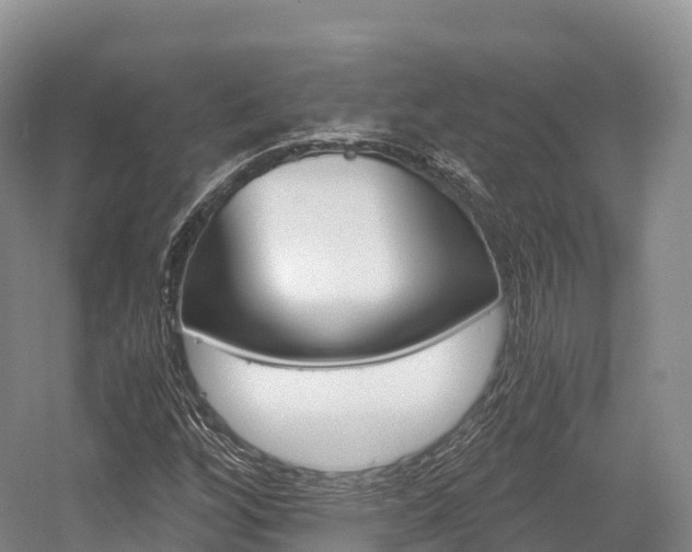 X0000055981256200508190720
