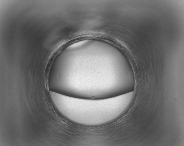 X0000055981267200508190720
