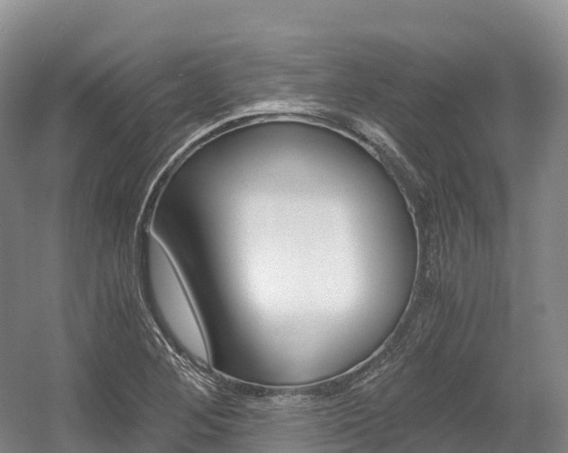 X0000055981268200508190720