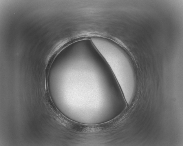 X0000055981269200508190720