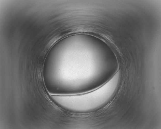 X0000055981273200508190720