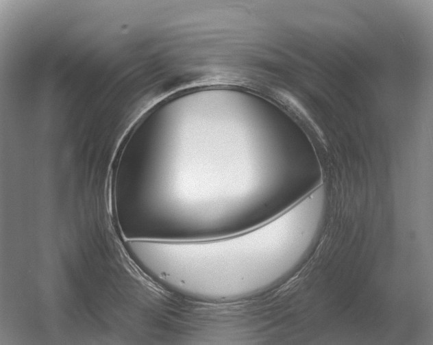 X0000055981276200508190720
