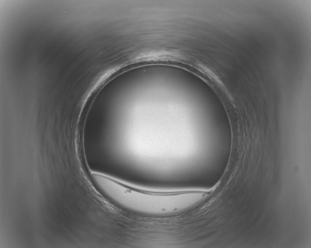 X0000055981277200508190720