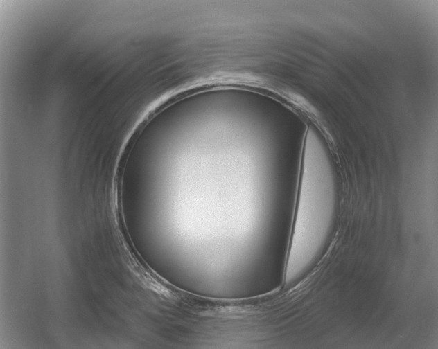 X0000055981280200508190720