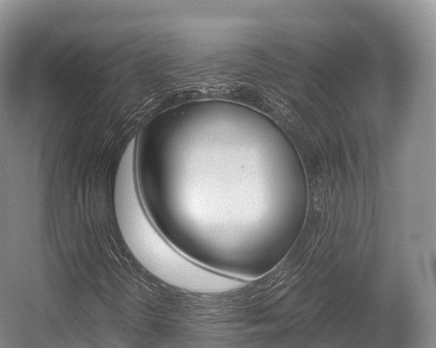 X0000055981298200508190719