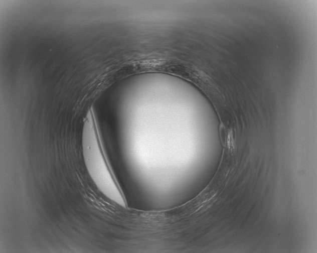 X0000055981299200508190719