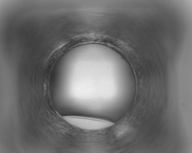 X0000055981302200508190719