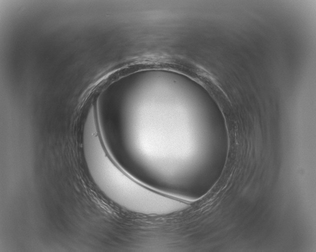 X0000055981304200508190719