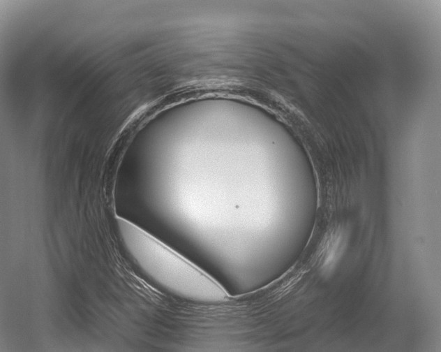 X0000055981306200508190719