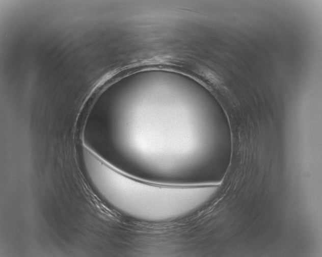 X0000055981308200508190719