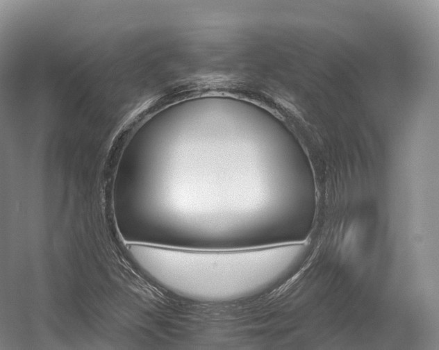 X0000055981309200508190719