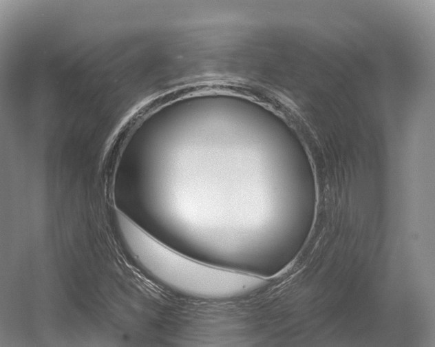 X0000055981310200508190719