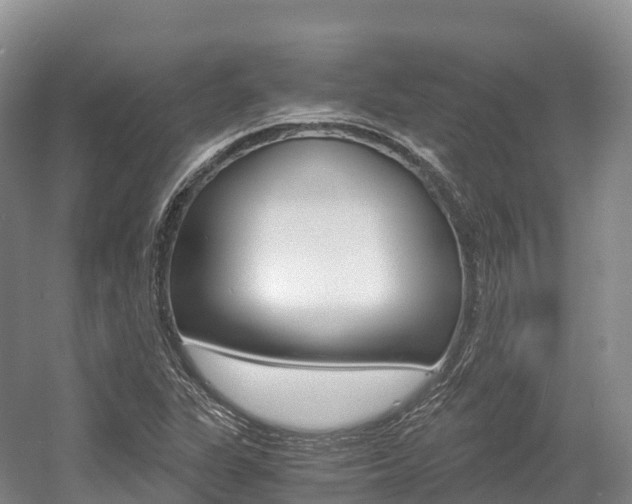 X0000055981311200508190719