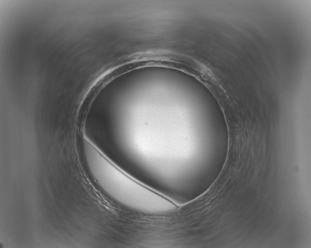 X0000055981312200508190719