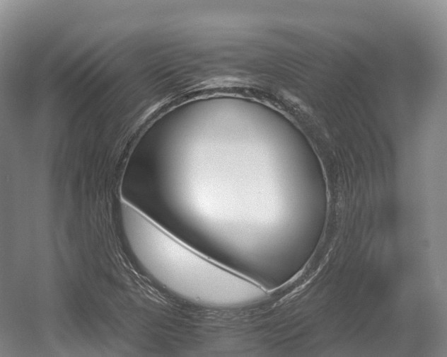 X0000055981313200508190719