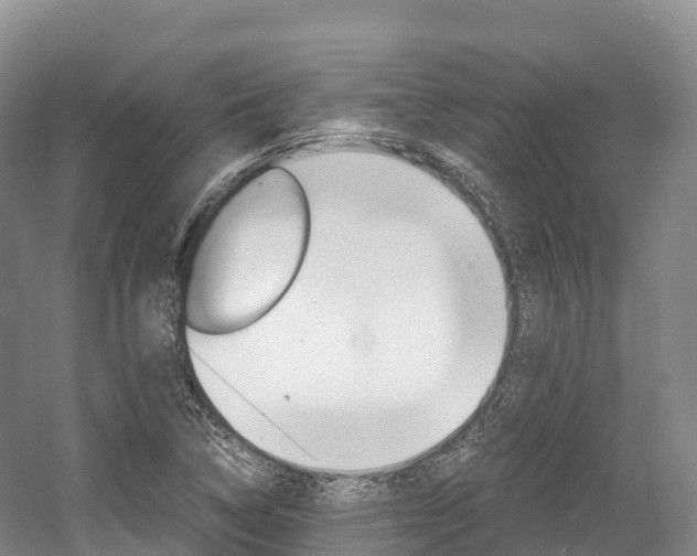 X0000055981314200508190719
