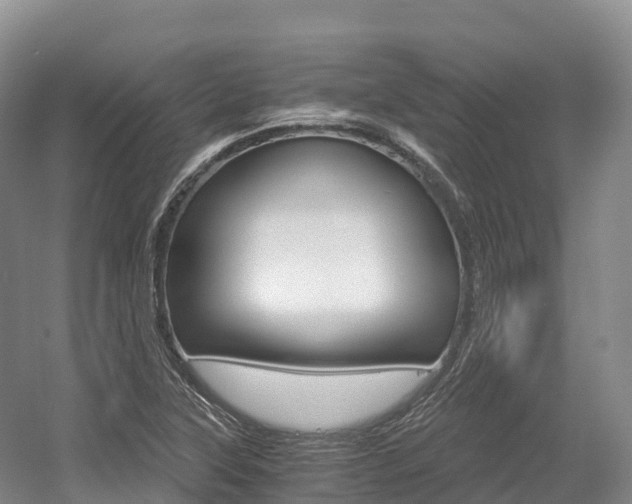 X0000055981315200508190719