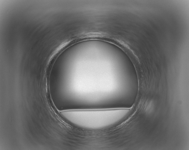 X0000055981317200508190719
