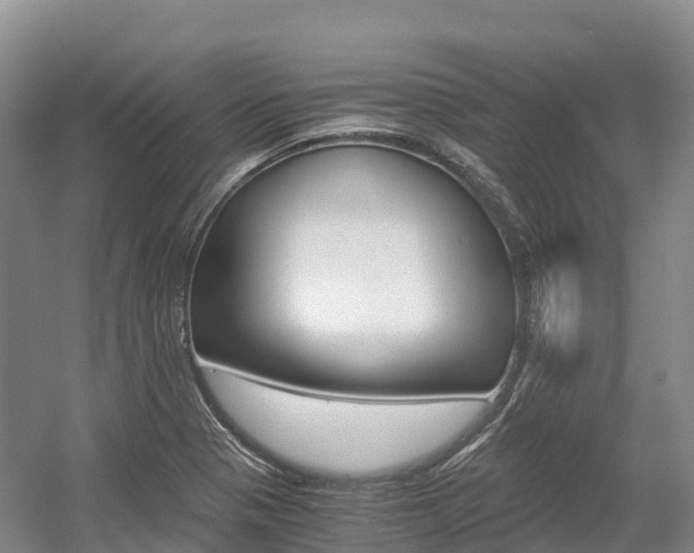 X0000055981321200508190719