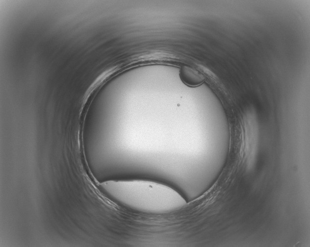 X0000055981322200508190719