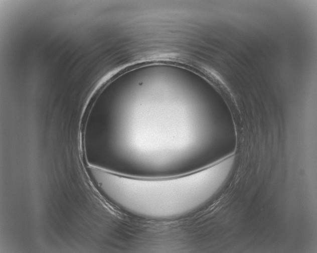 X0000055981324200508190719